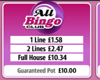 All Bingo Club